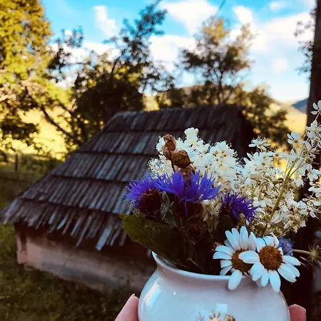 Holiday home Seoska Kuca Jela