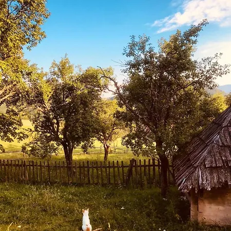 Holiday home Seoska Kuca Jela Nova Varos