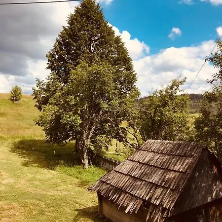Seoska Kuca Jela Holiday home Nova Varos