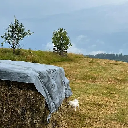 Seoska Kuca Jela * Nova Varos